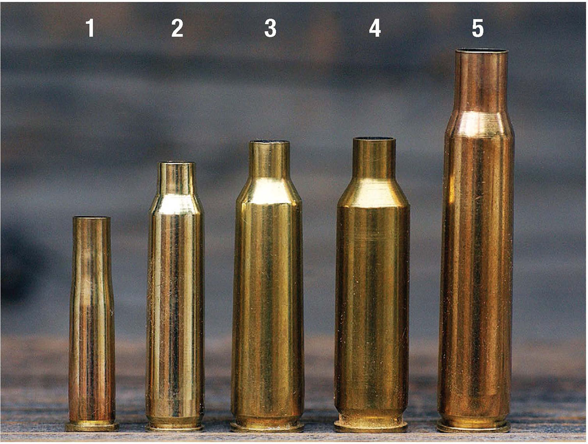 The classic 30-06 (5) is compared to four popular varmint cartridges: (1) 22 Hornet, (2) 223 Remington, (3) 22-250, (4) 6mm Creedmoor.